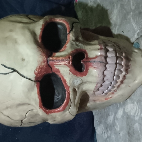 Huge scull mask - Picture 2 of 2